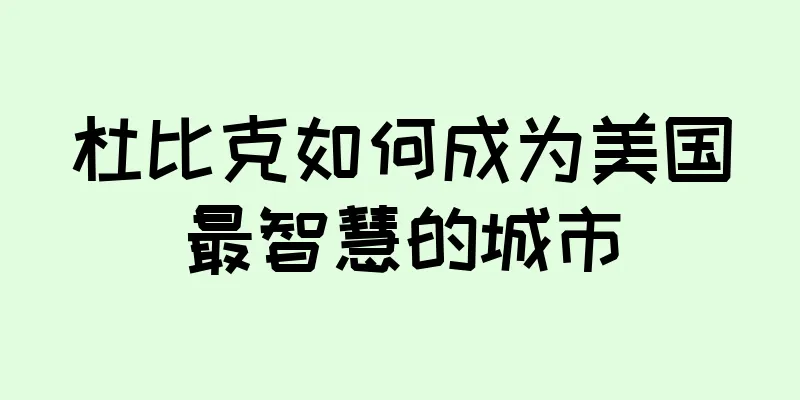 杜比克如何成为美国最智慧的城市
