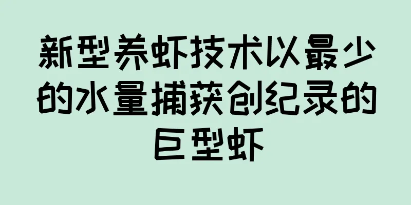 新型养虾技术以最少的水量捕获创纪录的巨型虾