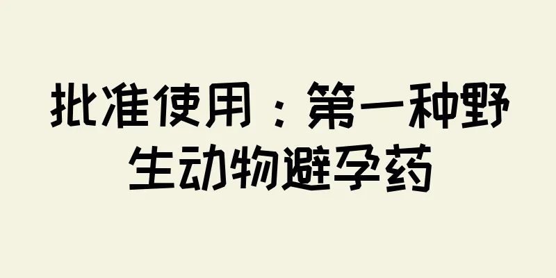 批准使用：第一种野生动物避孕药