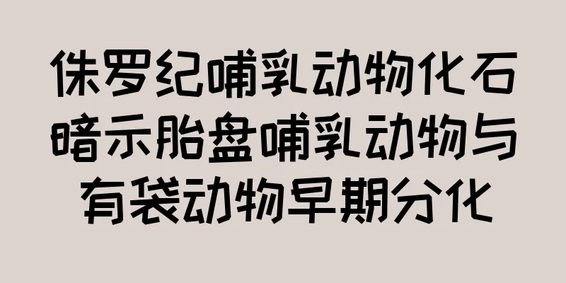 侏罗纪哺乳动物化石暗示胎盘哺乳动物与有袋动物早期分化