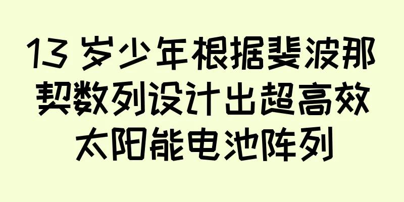 13 岁少年根据斐波那契数列设计出超高效太阳能电池阵列