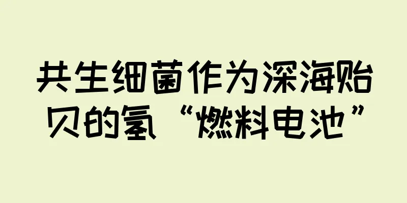 共生细菌作为深海贻贝的氢“燃料电池”