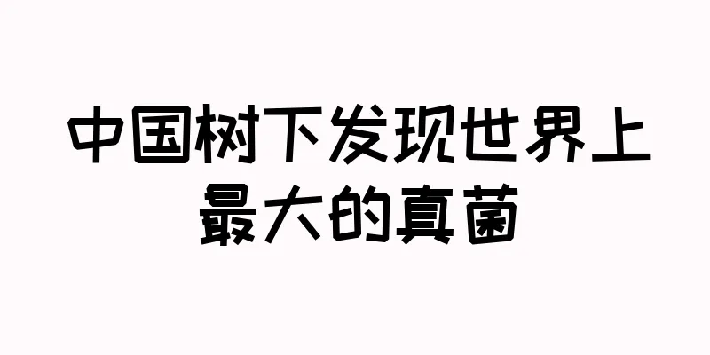 中国树下发现世界上最大的真菌