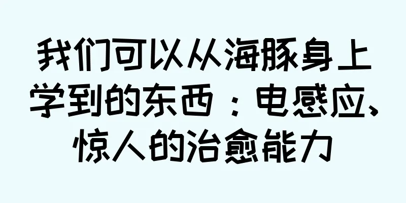 我们可以从海豚身上学到的东西：电感应、惊人的治愈能力