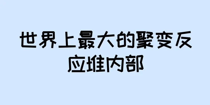 世界上最大的聚变反应堆内部