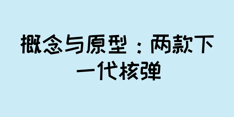 概念与原型：两款下一代核弹