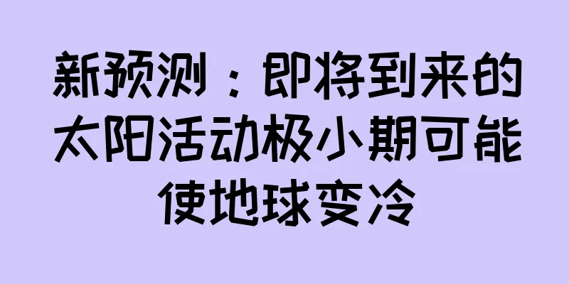 新预测：即将到来的太阳活动极小期可能使地球变冷