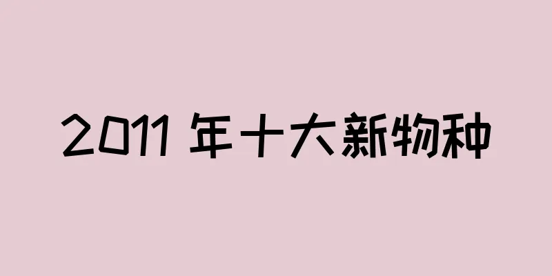 2011 年十大新物种
