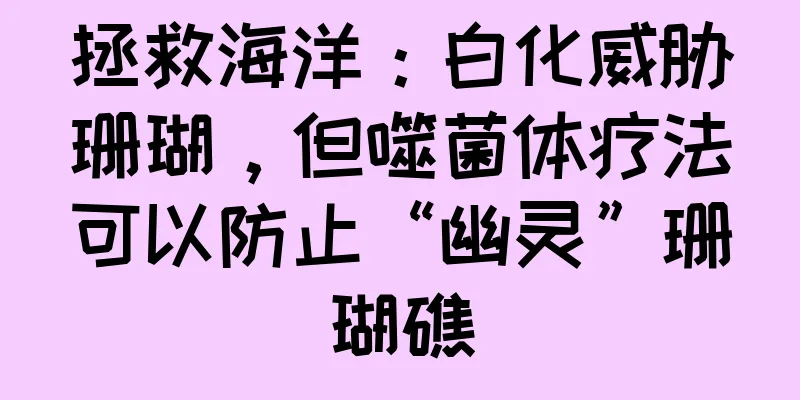 拯救海洋：白化威胁珊瑚，但噬菌体疗法可以防止“幽灵”珊瑚礁