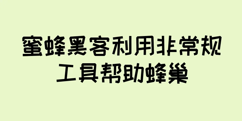 蜜蜂黑客利用非常规工具帮助蜂巢