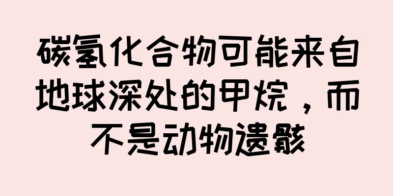 碳氢化合物可能来自地球深处的甲烷，而不是动物遗骸