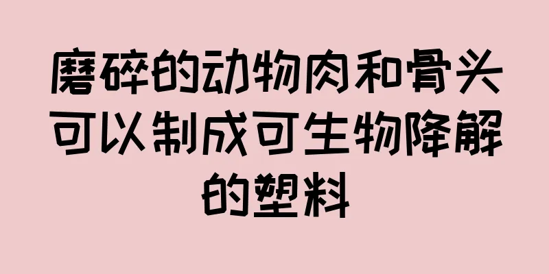 磨碎的动物肉和骨头可以制成可生物降解的塑料