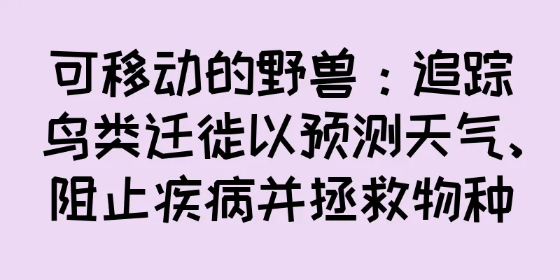 可移动的野兽：追踪鸟类迁徙以预测天气、阻止疾病并拯救物种