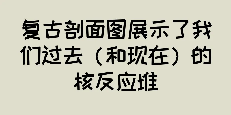 复古剖面图展示了我们过去（和现在）的核反应堆