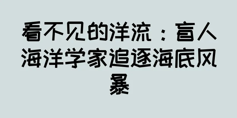看不见的洋流：盲人海洋学家追逐海底风暴