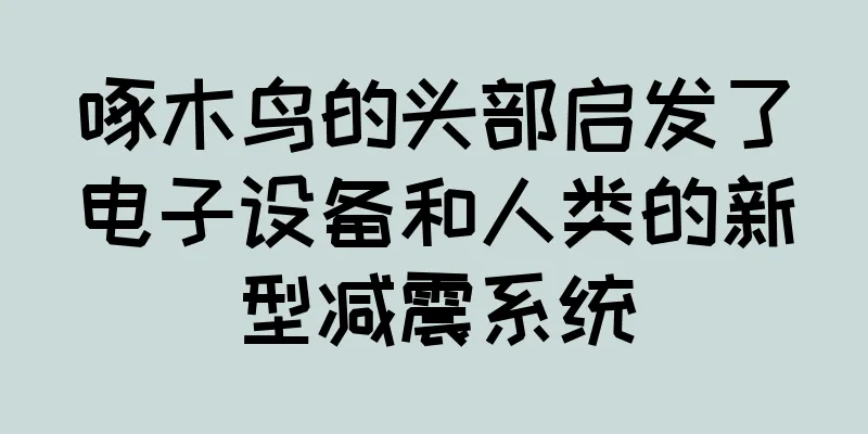 啄木鸟的头部启发了电子设备和人类的新型减震系统