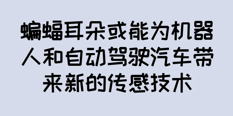 蝙蝠耳朵或能为机器人和自动驾驶汽车带来新的传感技术