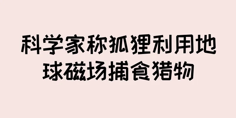 科学家称狐狸利用地球磁场捕食猎物