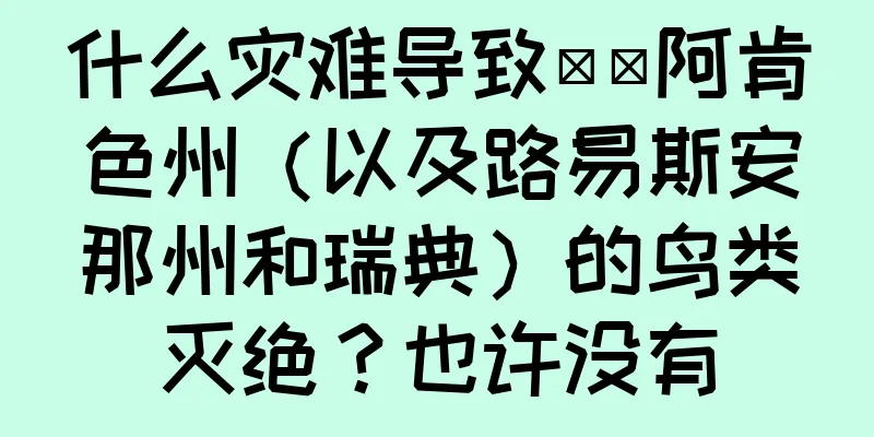 什么灾难导致​​阿肯色州（以及路易斯安那州和瑞典）的鸟类灭绝？也许没有