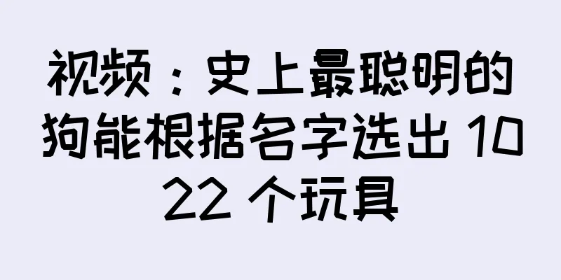 视频：史上最聪明的狗能根据名字选出 1022 个玩具