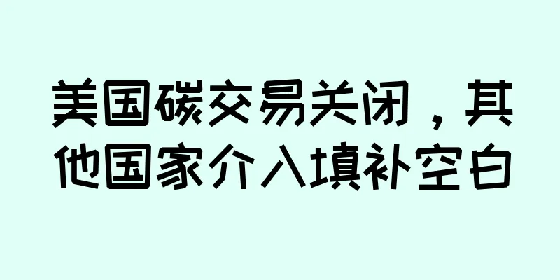 美国碳交易关闭，其他国家介入填补空白