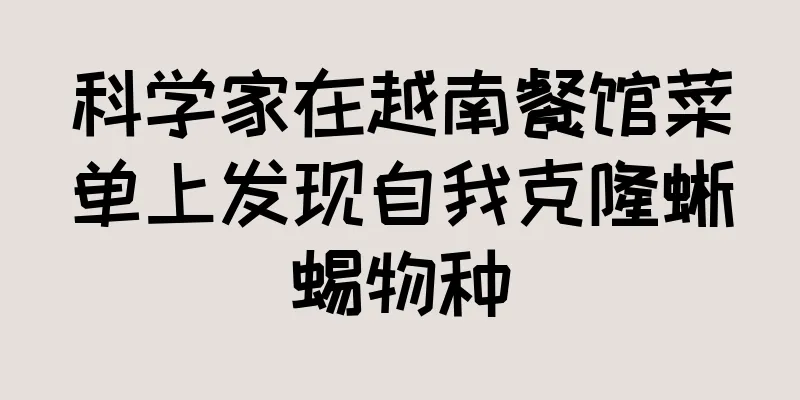 科学家在越南餐馆菜单上发现自我克隆蜥蜴物种