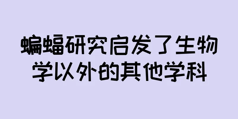 蝙蝠研究启发了生物学以外的其他学科