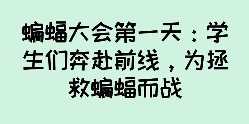 蝙蝠大会第一天：学生们奔赴前线，为拯救蝙蝠而战