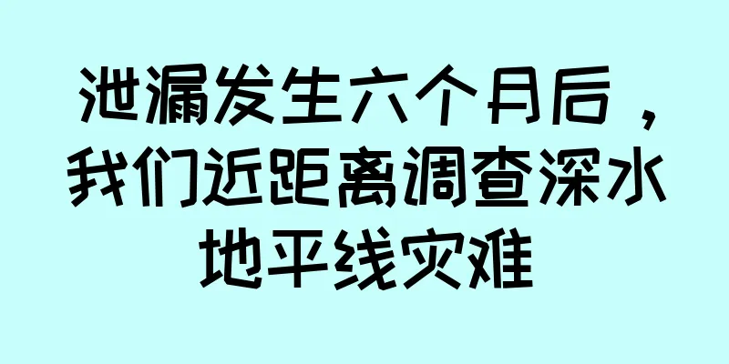 泄漏发生六个月后，我们近距离调查深水地平线灾难