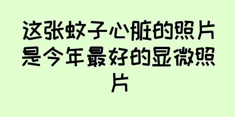 这张蚊子心脏的照片是今年最好的显微照片
