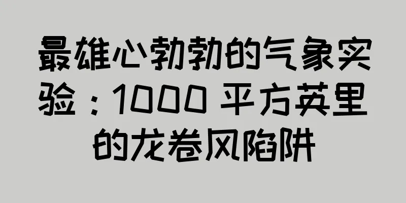 最雄心勃勃的气象实验：1000 平方英里的龙卷风陷阱