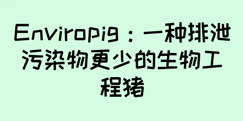 Enviropig：一种排泄污染物更少的生物工程猪