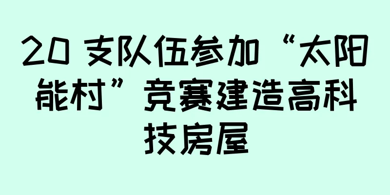 20 支队伍参加“太阳能村”竞赛建造高科技房屋