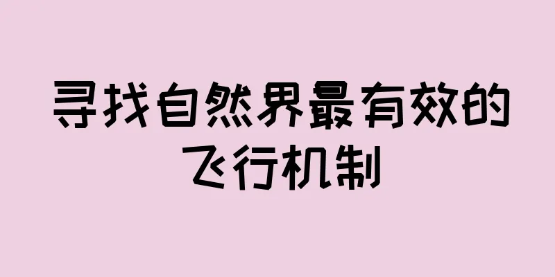 寻找自然界最有效的飞行机制