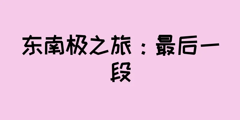 东南极之旅：最后一段