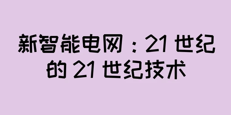 新智能电网：21 世纪的 21 世纪技术