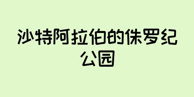 沙特阿拉伯的侏罗纪公园