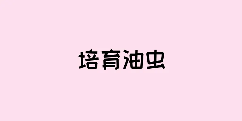 培育油虫