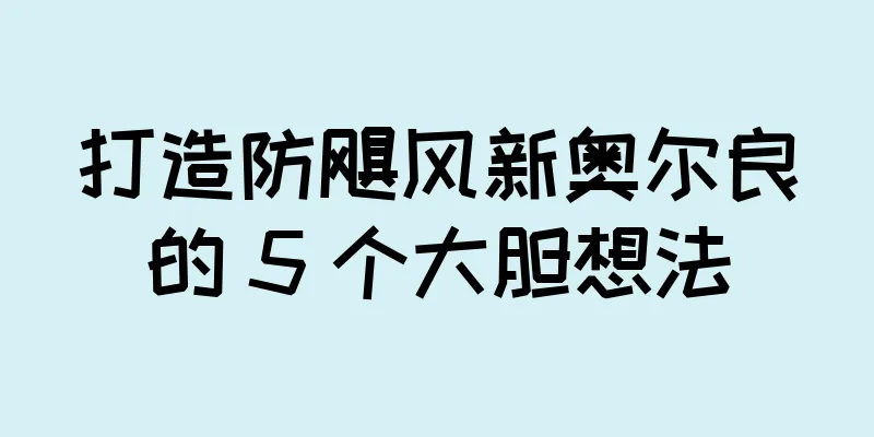打造防飓风新奥尔良的 5 个大胆想法