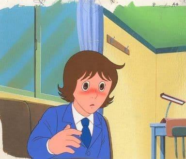 河马动物园园长的日记：独特视角与动人故事的全面回顾