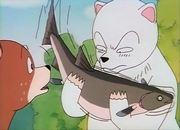 《白熊》的魅力与评价：独特的世界观与人物的深度