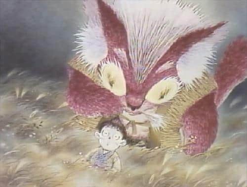 全面回顾宫泽贤治大作《橡子与野猫》！重新发现情感世界