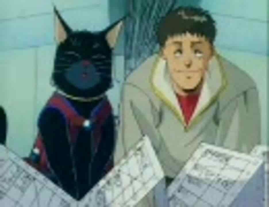 《敌人是海贼：猫的盛宴》的魅力与评价：猫迷必看的动画