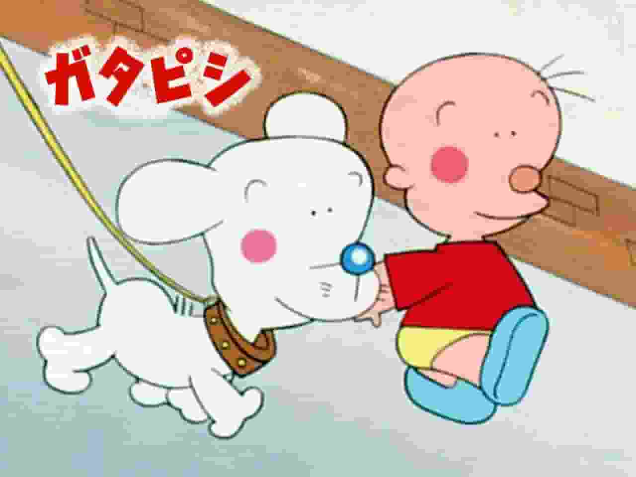 《Gata Pishi》的魅力与评价：不容错过的动漫体验