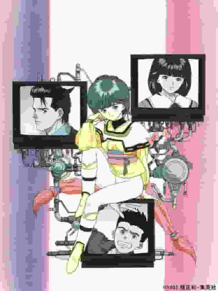 《视频女孩爱》的吸引力与评价：透彻分析一个感人的爱情故事