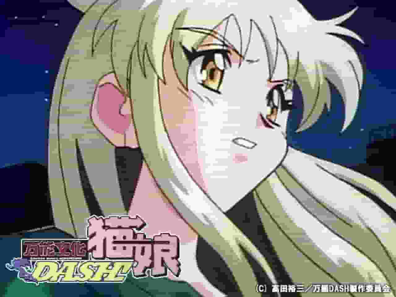 《万能文化猫娘DASH！》的魅力与评价：动漫迷必看的评论