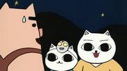 猫之剧场：充满黑色幽默和独特世界观的震撼动漫体验