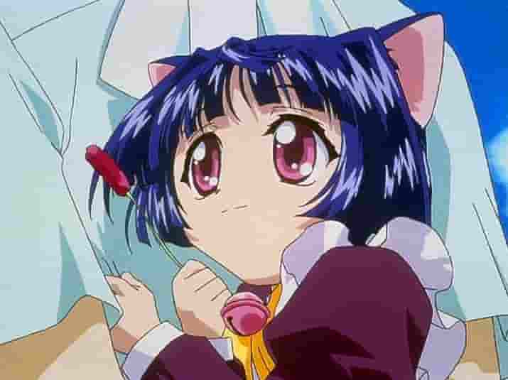 魔法少女猫人 - 令人着迷的新动画评论