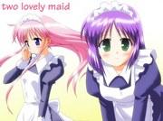 《Docchimo Maid》的魅力与评价：无论从哪个角度看都可以欣赏的作品
