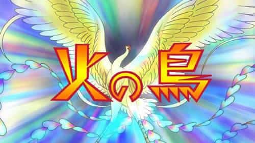全面回顾动人又美丽的NHK电视剧《不死鸟》